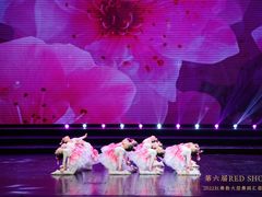 -红舞鞋舞蹈教育(近江校区)