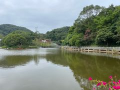 -广州市帽峰山景区