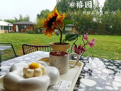 -禧室Joyous Lounge(禧园店)