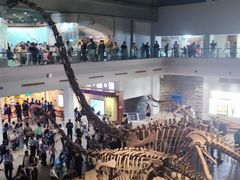 -自贡恐龙博物馆