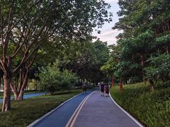 -眉山湿地公园(东坡区)