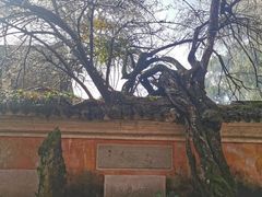 -天台山赤城山景区