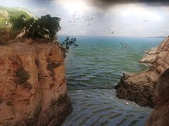 -浙江自然博物院(杭州馆)