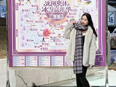 -沈阳奥体冰雪嘉年华
