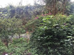 -茅庐·川粤精品私房菜(金沙遗址店)