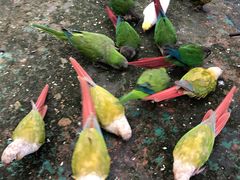 -西霞口神雕山野生动物世界