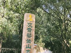 -大屏嶂森林公园