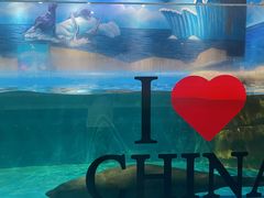 -顺德南宏海立方海洋公园