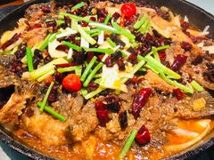老板恋上鱼-老板恋上鱼(振华商厦店)