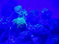 -洛阳龙门海洋馆