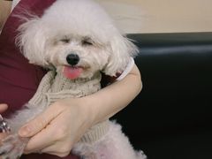 -美联众合动物医院·24h转诊中心