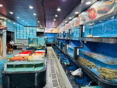 -新河畔海鲜酒楼(虎门店)