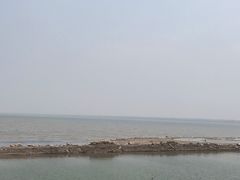 -贝林大翅鲸简餐厅(国家海洋博物馆店)