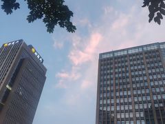 -知味脆皮鸡