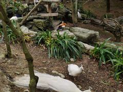 -泉州海丝野生动物世界