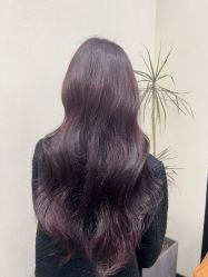 -IN 巷 salon明星店