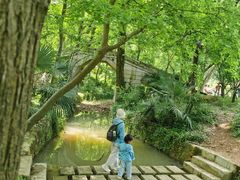 -青龙山国家森林公园