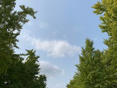 -雍沪里·沪湘融合菜( 康桥店)