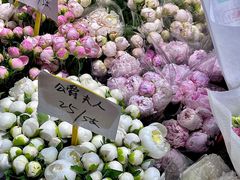 -循礼门鲜花花市(武汉循礼门店)