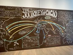 -金泽21世纪美术馆