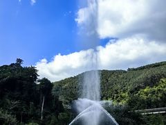 -西双版纳原始森林公园