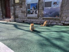 -四门塔风景区