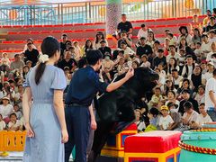 -海合安武汉极地海洋公园