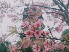 -圆宝台湾小吃(迎津街店)