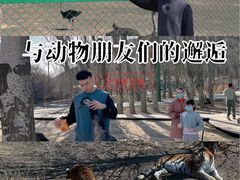 -新疆天山野生动物园