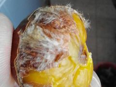 糖炒栗子-秋栗香(地安门店)