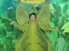 -上海昆虫博物馆