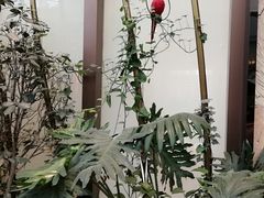 -青岛海尔洲际酒店