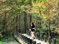 -桤木河湿地公园