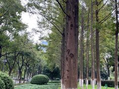 -后襄河公园