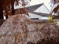 -同里国家湿地公园
