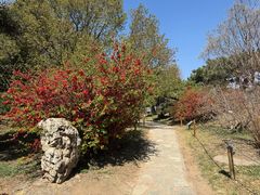 -国家植物园南园