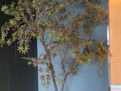 -渝乡辣婆婆·川菜 水煮鱼(安平店)