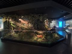 -四川大学博物馆