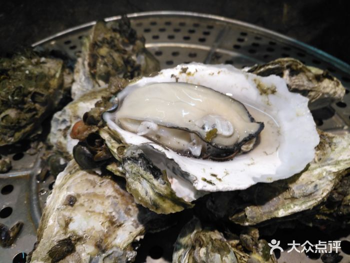 飞尝蚝·顺德菜·鱼生(顺德总店)图片