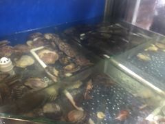 -老虎滩大连海鲜烧烤(建邺云锦路总店)