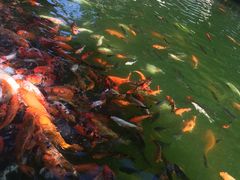 景点-宝墨园景区