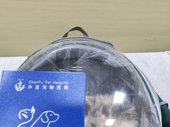 -申普宠物医院(总院)