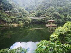-天明山温泉大酒店