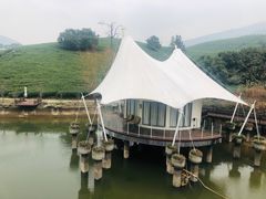 -帐篷客·溪龙茶谷度假酒店