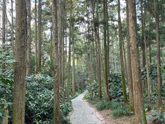 -狼山风景名胜区