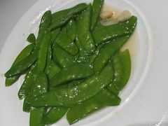 -金春禧(先天下店)