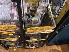 -蜜蜂家的红茶馆(华府店)