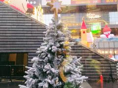 -Peet's 皮爷咖啡(陆家嘴中心店)