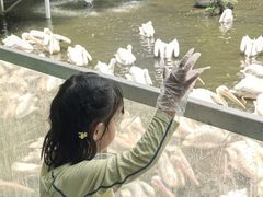-广州长隆飞鸟乐园