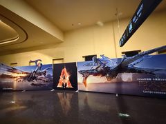 -华谊兄弟影院(IMAX洋桥店)